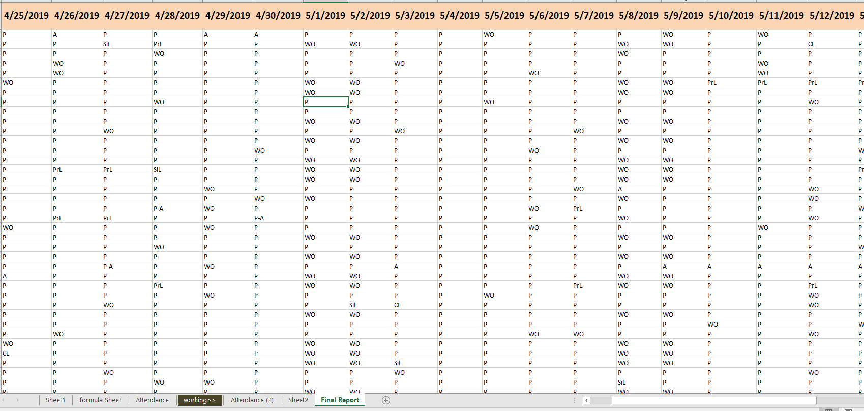Excel Project